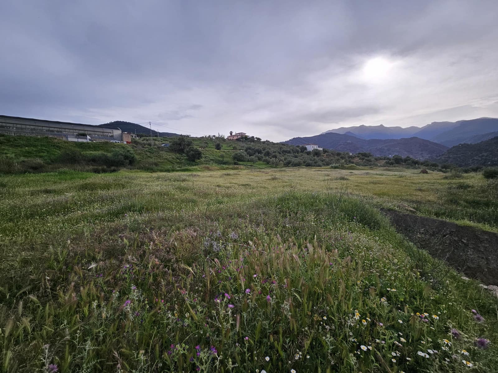Terreno Não Urbanizado para venda em Tolox - 700 000 € (Ref: 9820400)