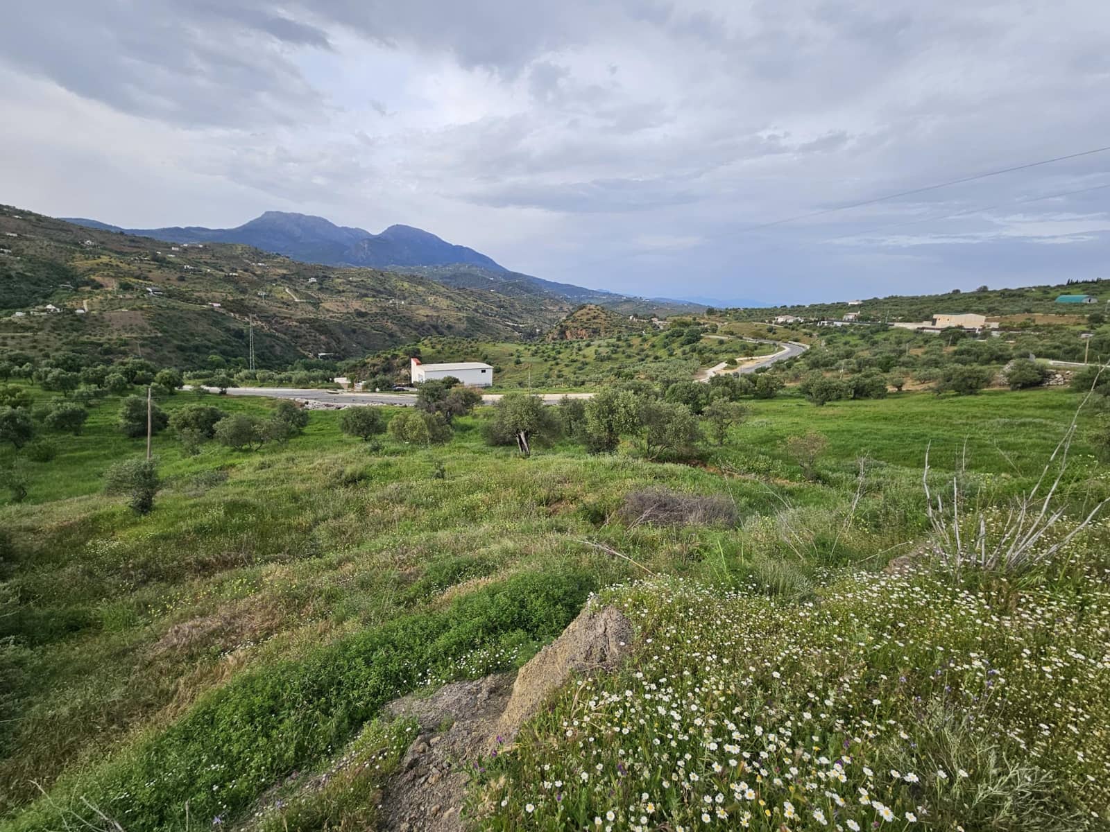 Terreno Não Urbanizado para venda em Tolox - 700 000 € (Ref: 9820400)
