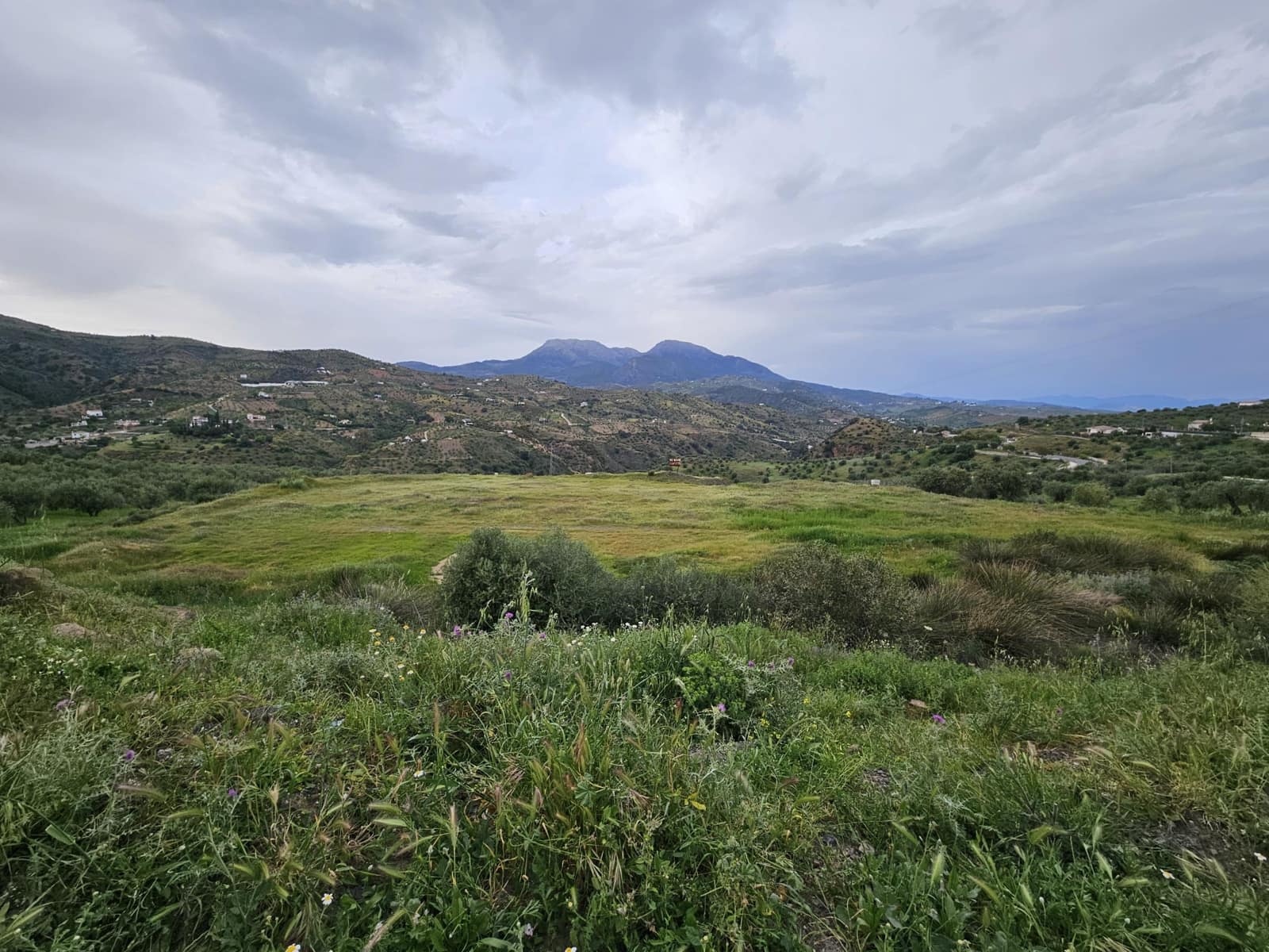Terreno Não Urbanizado para venda em Tolox - 700 000 € (Ref: 9820400)