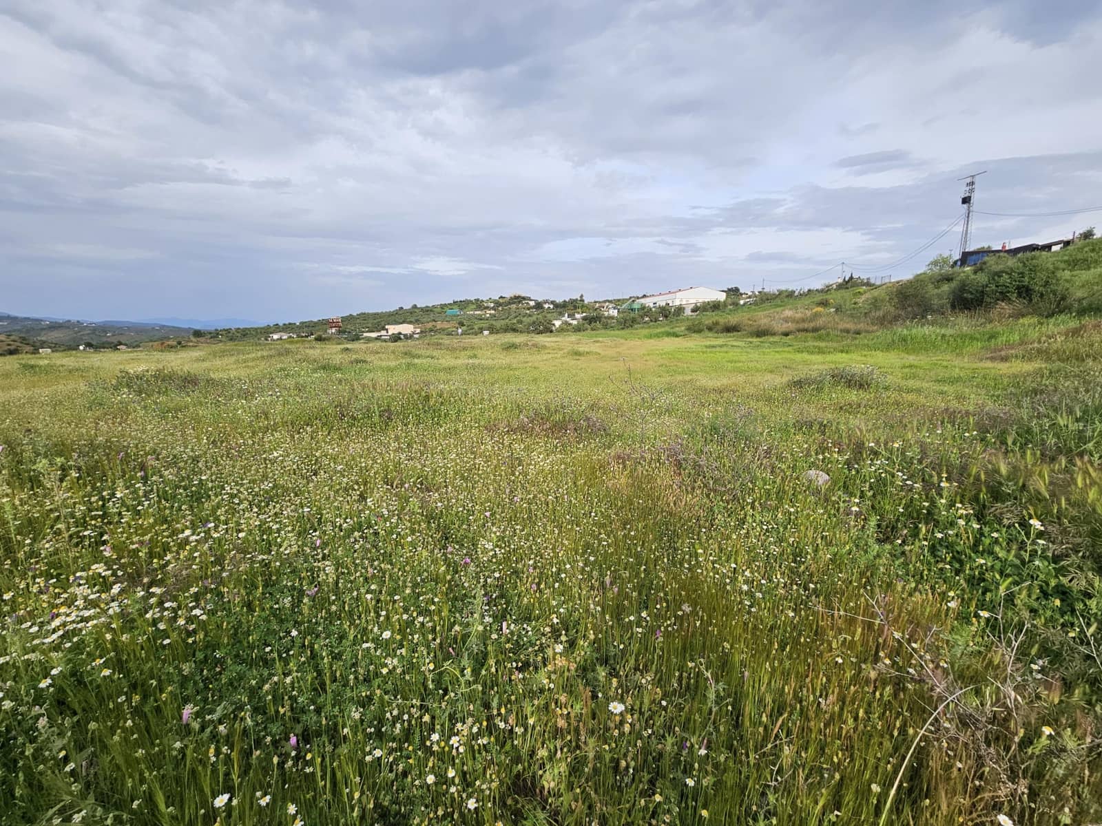 Terreno Não Urbanizado para venda em Tolox - 700 000 € (Ref: 9820400)