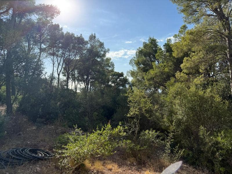 Building Plot for sale in Santa Ponsa - € 1,490,000 (Ref: 10167270)