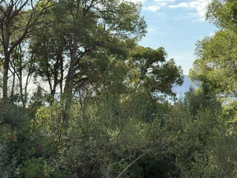 Building Plot for sale in Santa Ponsa - € 1,490,000 (Ref: 10167270)