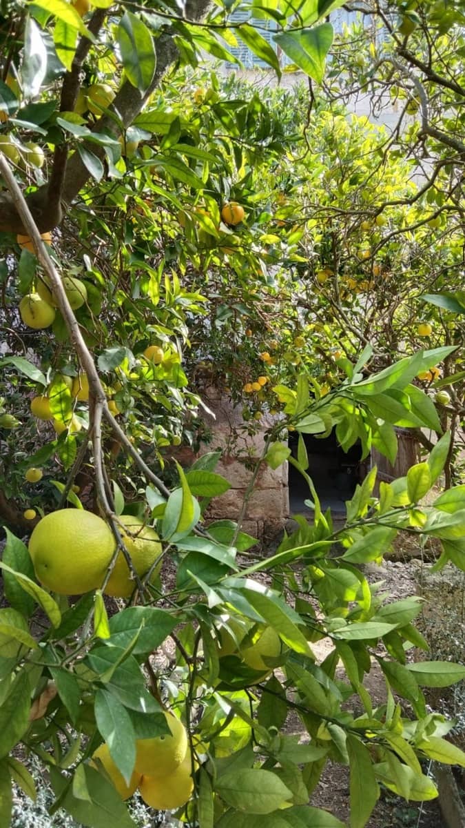 4 makuuhuone Huvila myytävänä paikassa Santa Margalida - 1 500 000 € (Ref: 3881487)