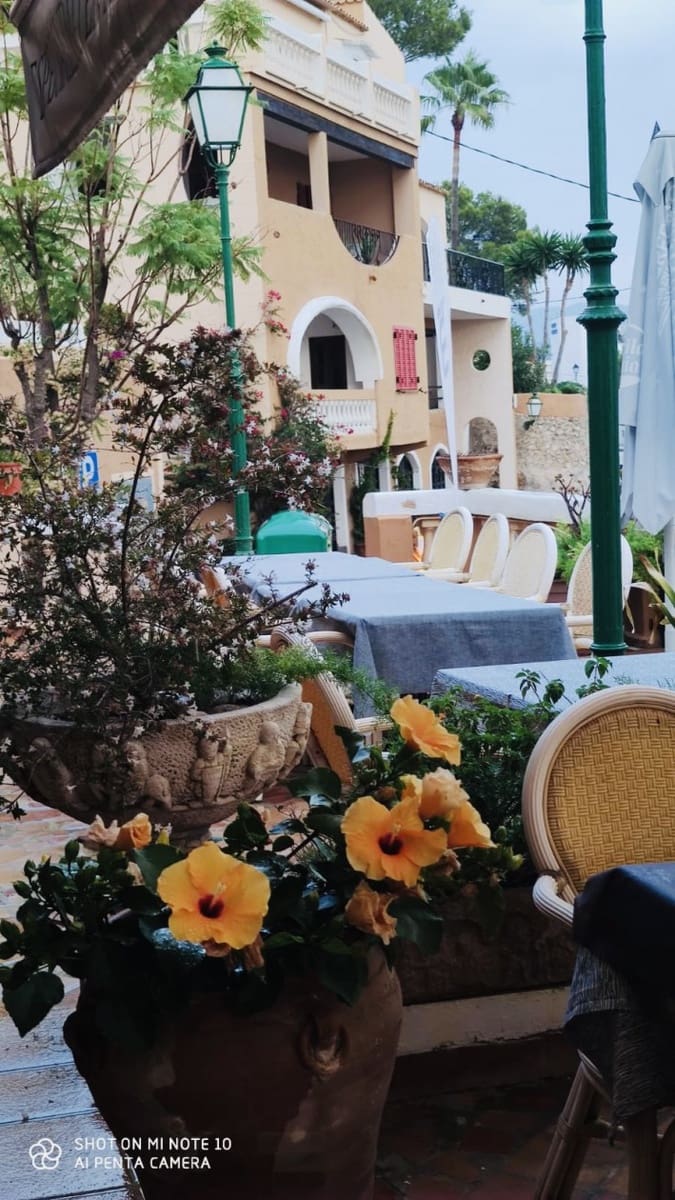 Kommersiell till salu i Cala Fornells - 950 000 € (Ref: 4002821)