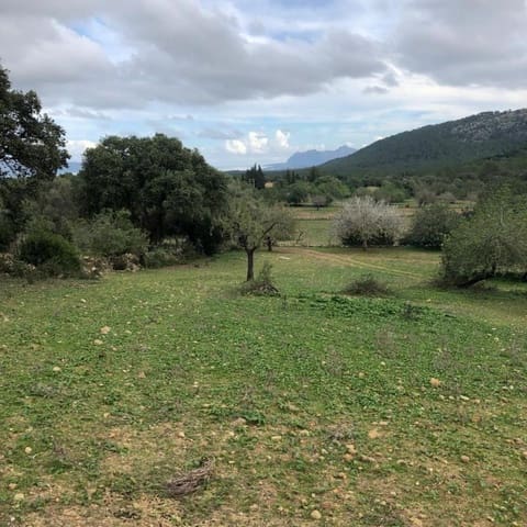 Villa til salgs i Pollensa / Pollença - € 2 862 000 (Ref: 4454406)