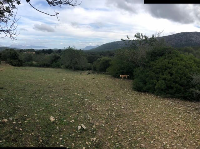 Villa til salg i Pollensa / Pollença - € 2.862.000 (Ref: 4454406)