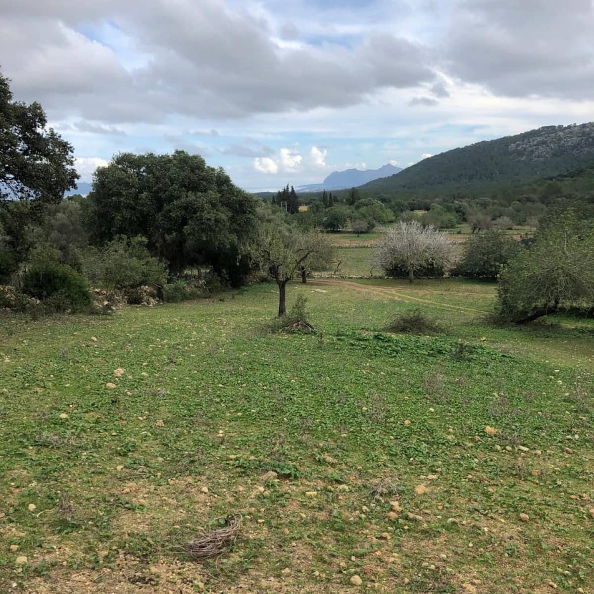 Villa for sale in Pollensa / Pollenca - € 2,862,000 (Ref: 4454406)