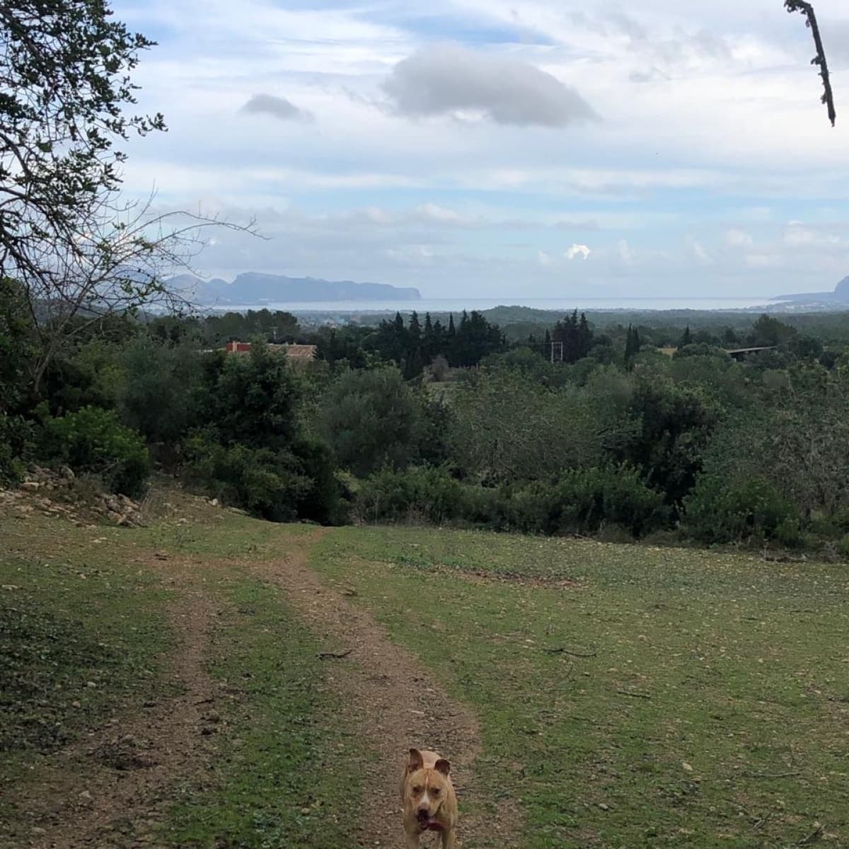 Villa for sale in Pollensa / Pollenca - € 2,862,000 (Ref: 4454406)