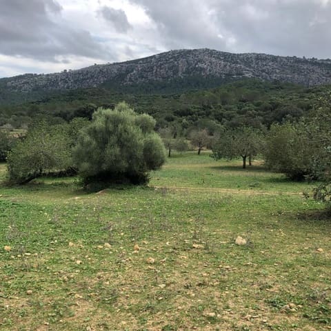 Villa til salg i Pollensa / Pollença - € 2.862.000 (Ref: 4454406)