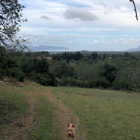 Villa til salg i Pollensa / Pollença - € 2.862.000 (Ref: 4454406)