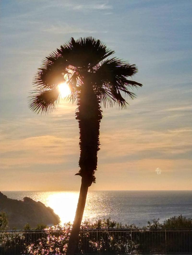 3 bedroom Apartment for sale in Santa Ponsa - € 650,000 (Ref: 7449620)