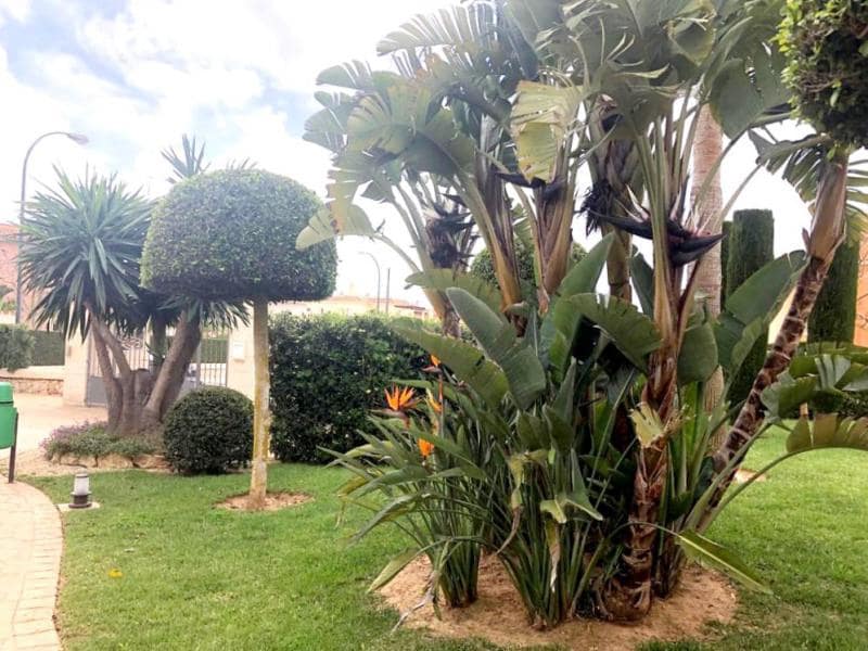 2 soverom Leilighet til salgs i Sa Rapita / La Rapita med svømmebasseng - € 590 000 (Ref: 7879341)