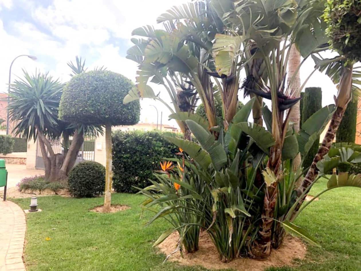 2 bedroom Apartment for sale in Sa Rapita / La Rapita with pool - € 590,000 (Ref: 7879341)