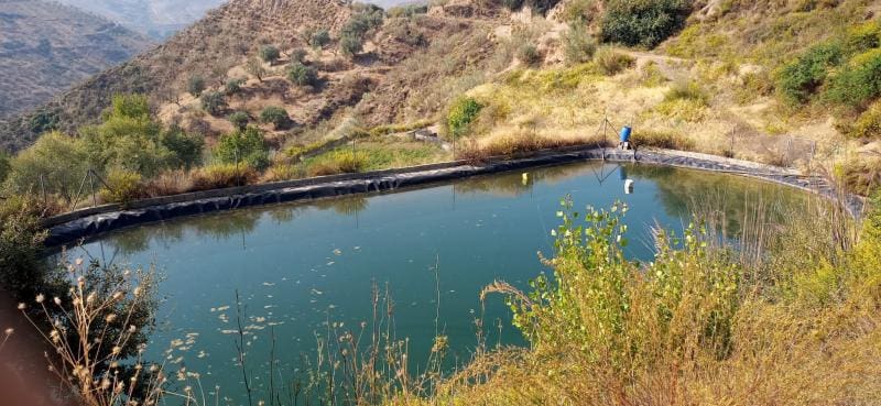 5 soveværelse Villa til salg i Lobras - € 375.000 (Ref: 8279970)