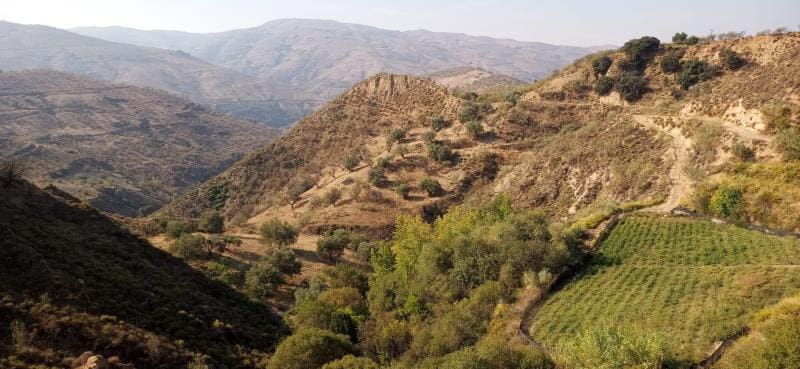 5 soveværelse Villa til salg i Lobras - € 375.000 (Ref: 8279970)