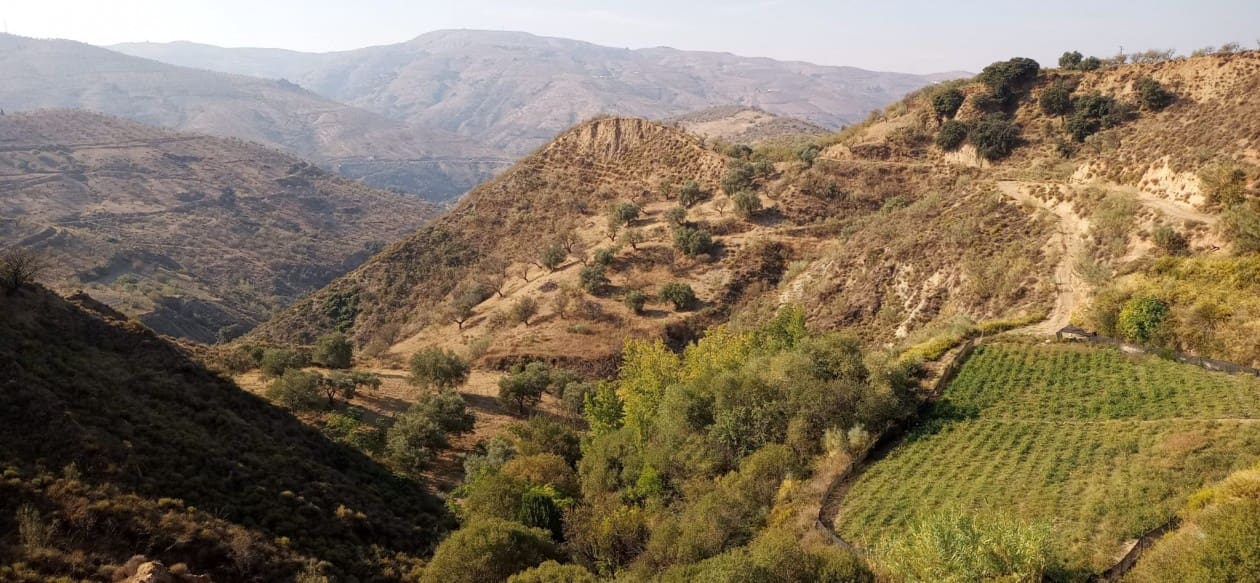 5 bedroom Villa for sale in Lobras - € 375,000 (Ref: 8279970)