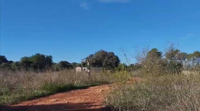 Building Plot for sale in Sineu - € 320,000 (Ref: 8550176)