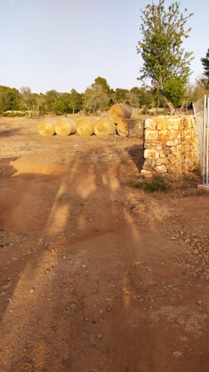 Building Plot for sale in Sineu - € 320,000 (Ref: 8550176)