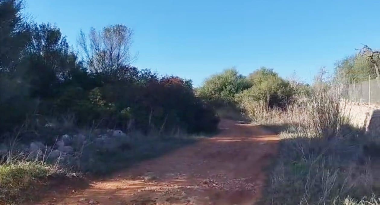 Building Plot for sale in Sineu - € 320,000 (Ref: 8550176)