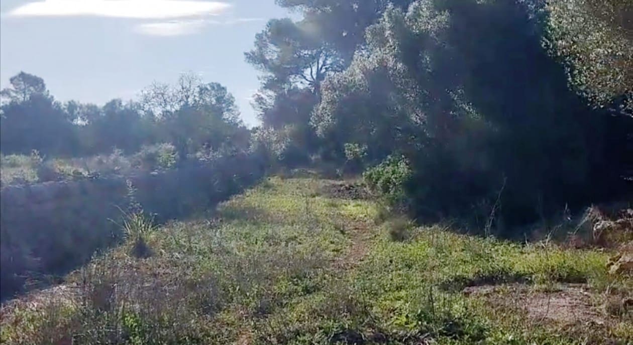 Building Plot for sale in Sineu - € 320,000 (Ref: 8550176)