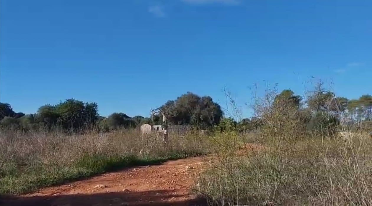 Building Plot for sale in Sineu - € 320,000 (Ref: 8550176)