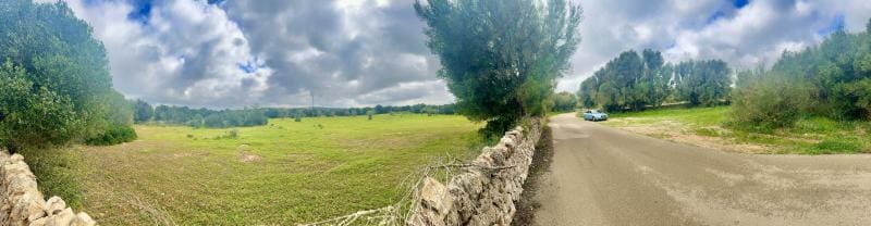 Bouwgrond te koop in Ses Salines - € 360.000 (Ref: 8861537)