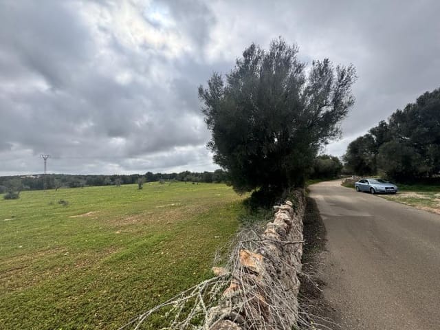 Bouwgrond te koop in Ses Salines - € 360.000 (Ref: 8861537)