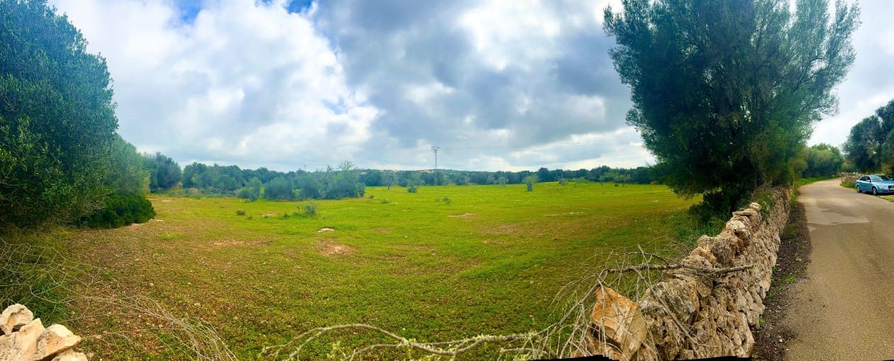 Bouwgrond te koop in Ses Salines - € 360.000 (Ref: 8861537)