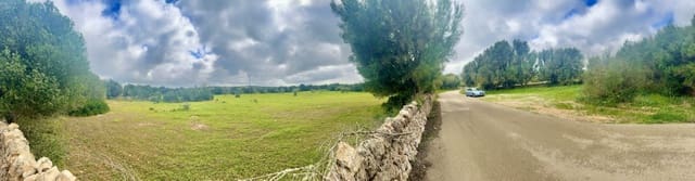 Byggegrund til salg i Ses Salines - € 360.000 (Ref: 8861537)