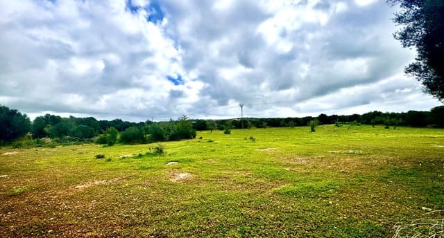 Byggegrund til salg i Ses Salines - € 360.000 (Ref: 8861537)