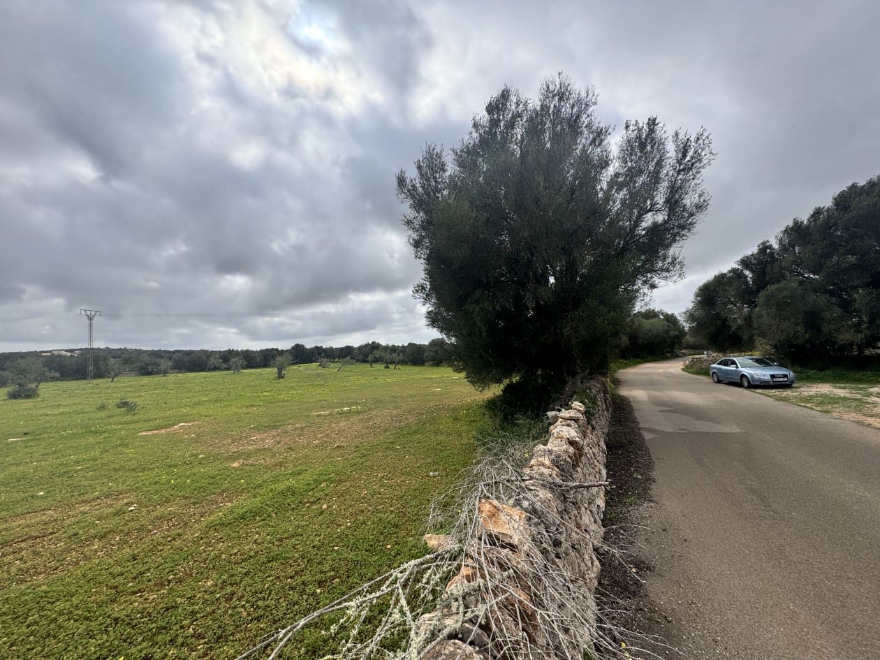 Bouwgrond te koop in Ses Salines - € 360.000 (Ref: 8861537)