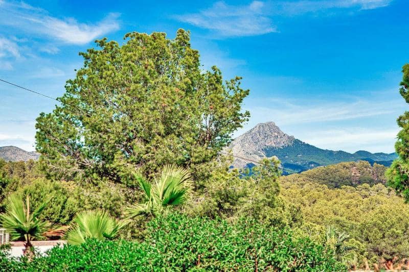 5 bedroom Bungalow for sale in Costa de la Calma - € 650,000 (Ref: 9475041)