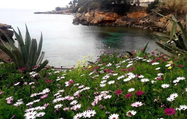 1 soveværelse Lejlighed til salg i Santa Ponsa, Calvià - € 349.000 (Ref: 9618767)