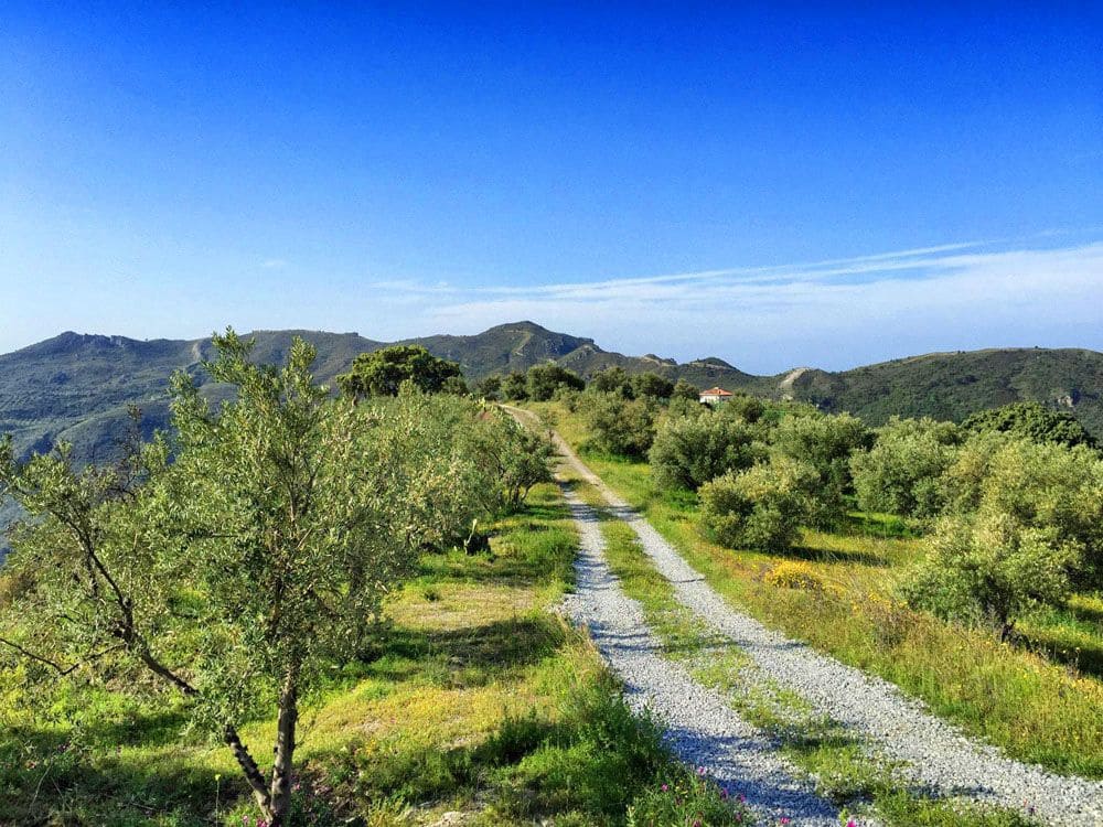 7 sypialnia Finka/Dom wiejski na sprzedaż w Otivar z basenem - 995 000 € (Ref: 6239312)