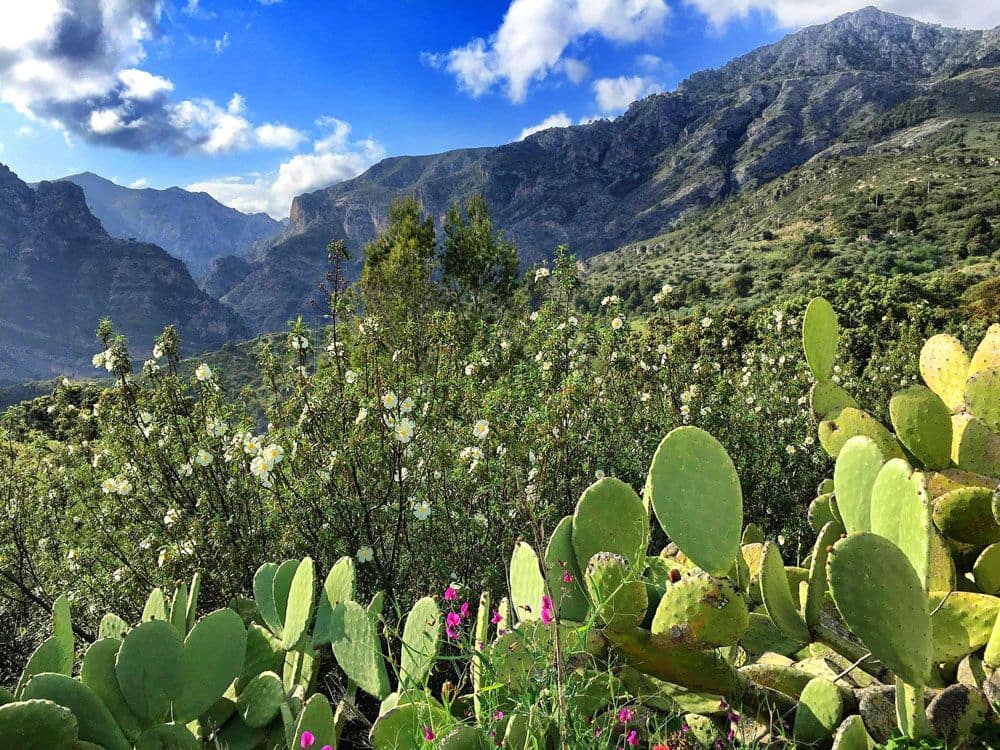 7 sypialnia Finka/Dom wiejski na sprzedaż w Otivar z basenem - 995 000 € (Ref: 6239312)