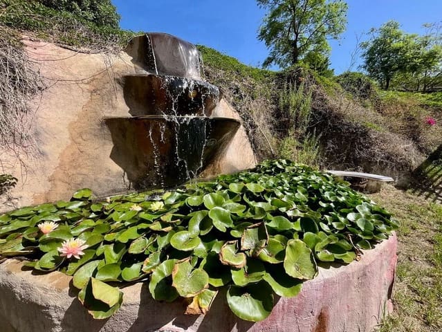 5 chambre Finca/Maison de Campagne à vendre à Maro, Nerja avec piscine - 1 250 000 € (Ref: 7747771)