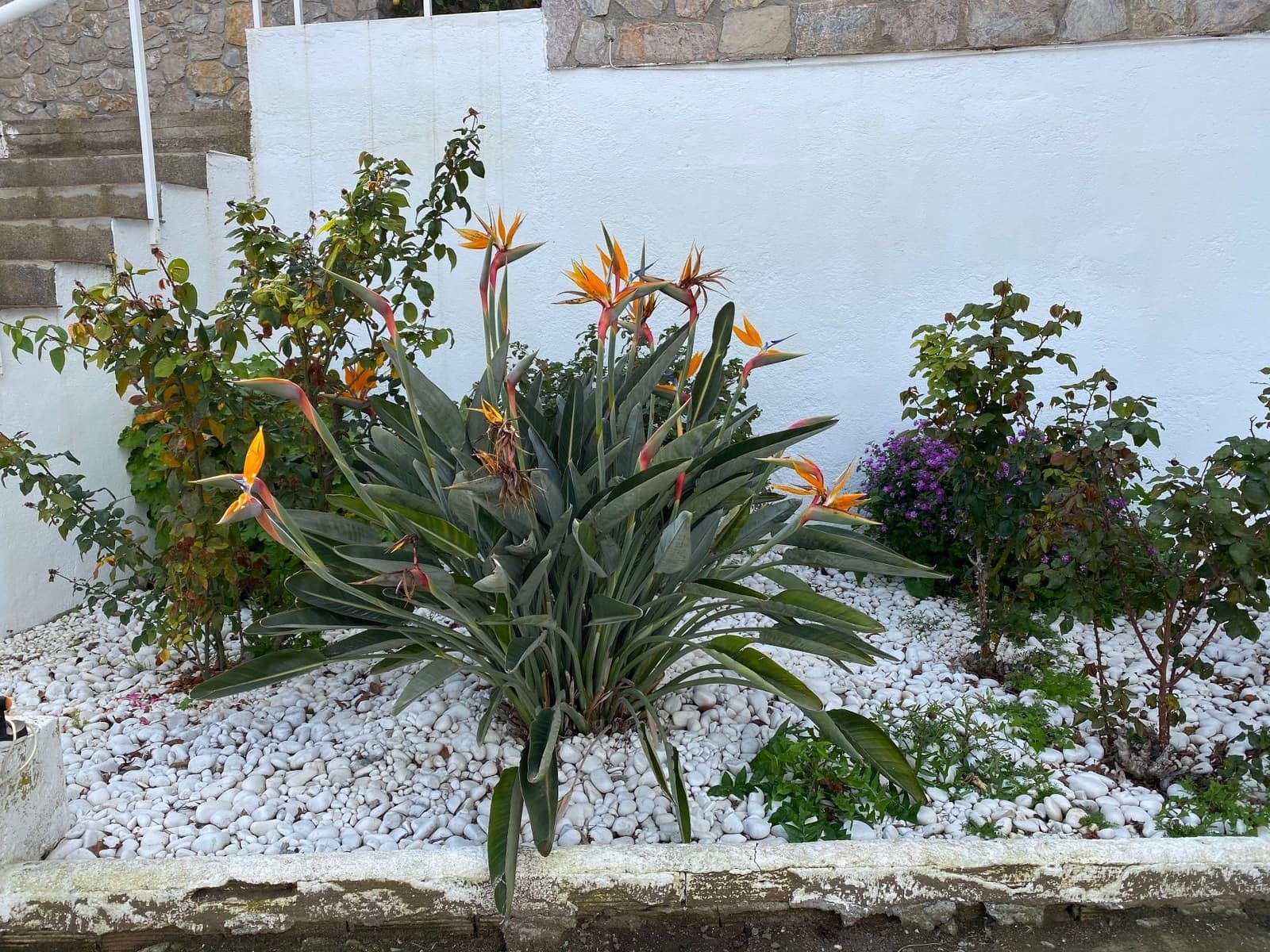 6 soverom Villa til salgs i Almunecar med garasje - € 650 000 (Ref: 8206798)