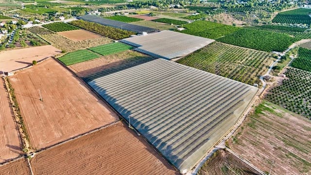 4 quarto Quinta/Casa Rural para venda em Llíria - 700 000 € (Ref: 10166697)