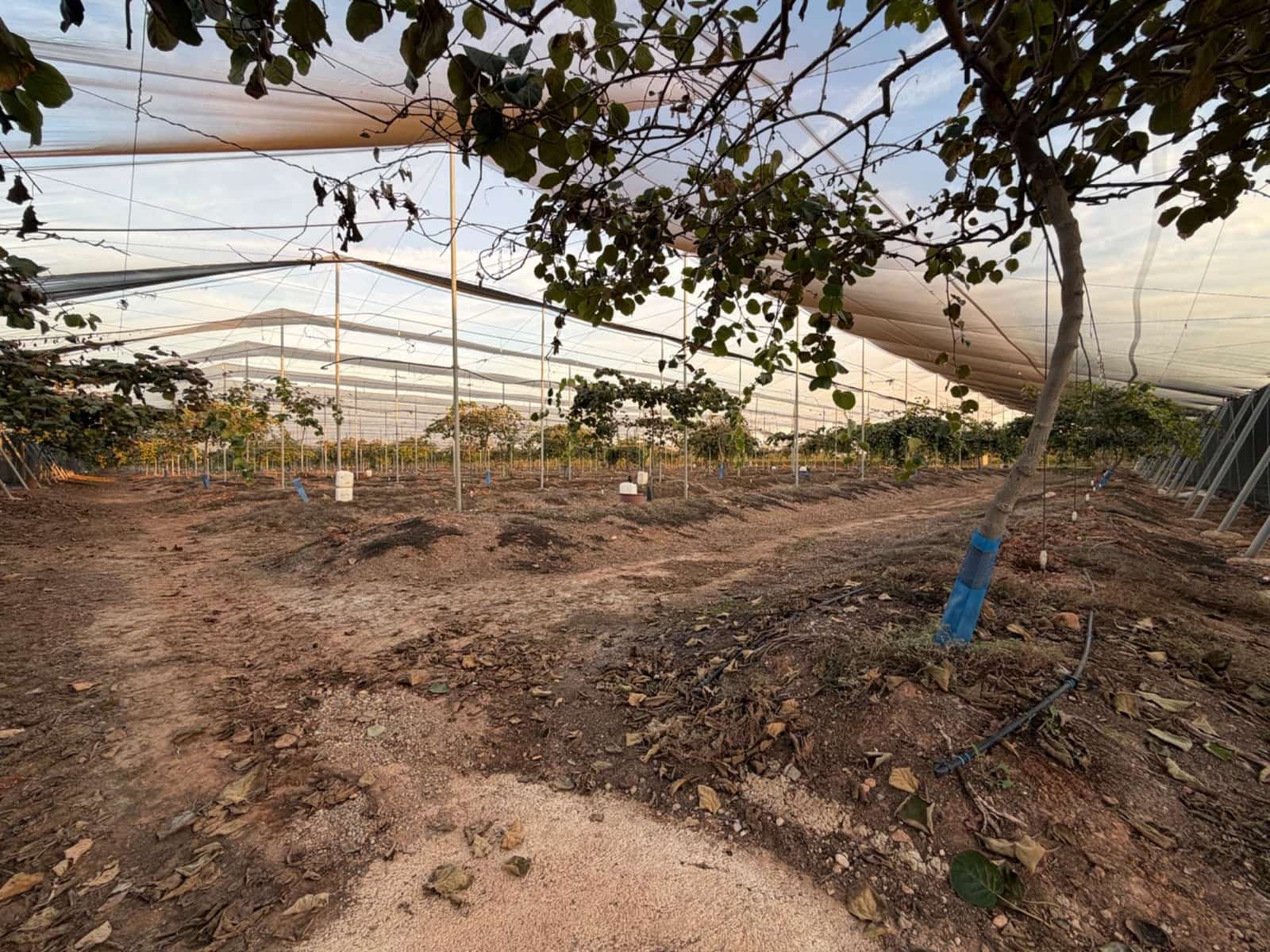 Grunde uden byggetilladelser til salg i Lliria - € 700.000 (Ref: 10166698)