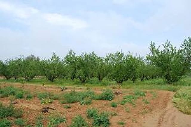 Finca/Landehus til salg i Llíria - € 46.500 (Ref: 2538942)
