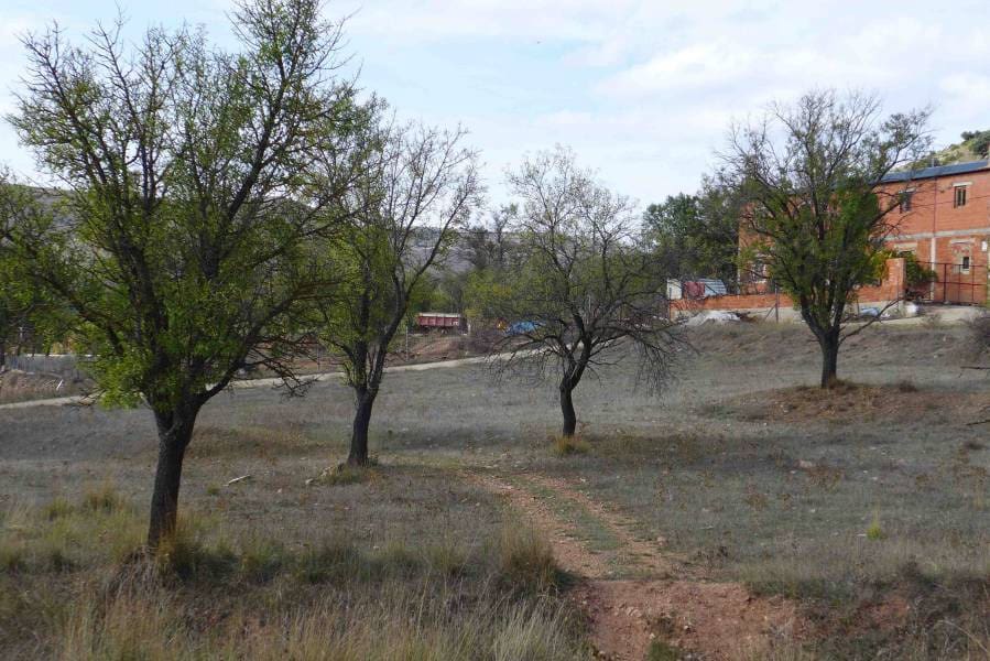 Byggegrund til salg i Canete - € 157.500 (Ref: 6162109)