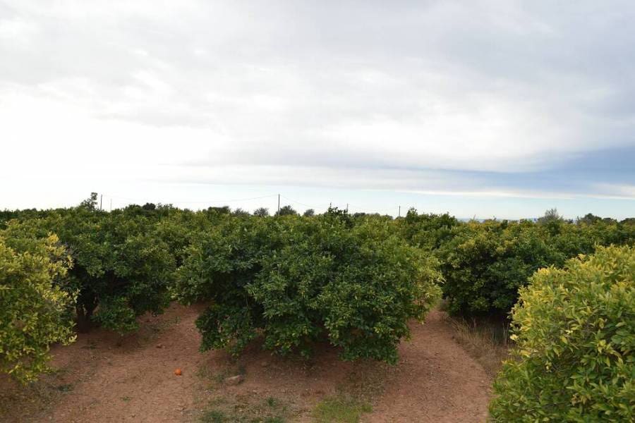 Finca/Casa di Campagna in vendita in Lliria - 282.300 € (Rif: 6162114)