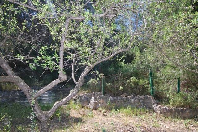 3 quarto Moradia para venda em Casinos com piscina - 125 000 € (Ref: 6162117)