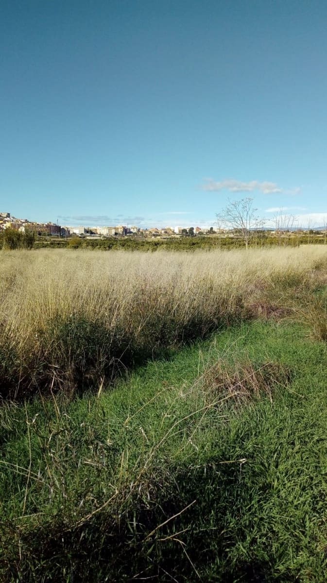 Finca/Landehus til salg i Lliria - € 9.000 (Ref: 6162249)