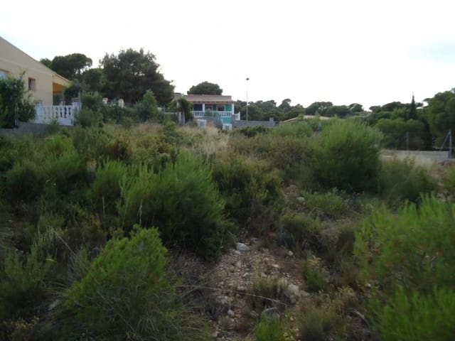 Building Plot for sale in Casinos - € 50,000 (Ref: 6162287)