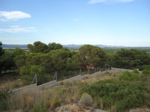 Building Plot for sale in Casinos - € 50,000 (Ref: 6162287)