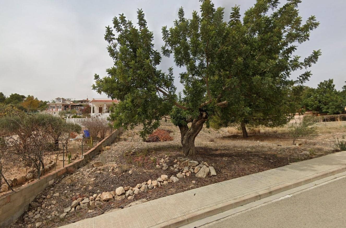 Działka budowlana na sprzedaż w Casinos - 45 000 € (Ref: 6341903)