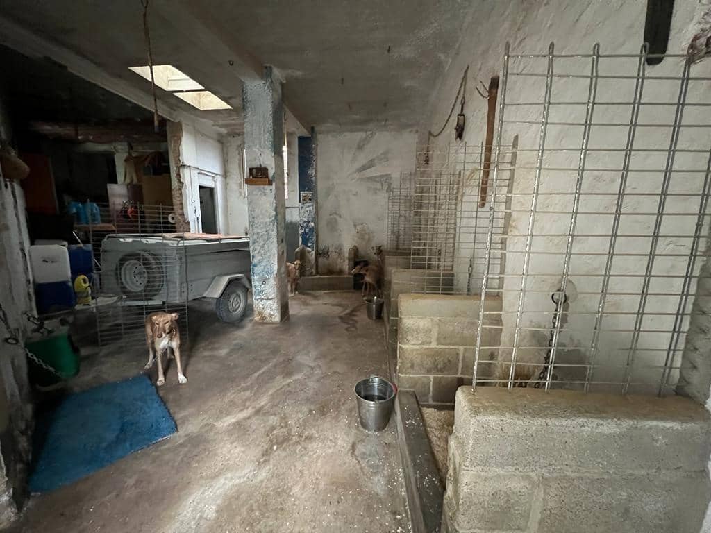 3 camera da letto Commerciale in vendita in Lliria - 39.900 € (Rif: 8016934)