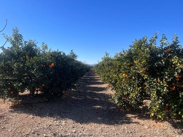 Finca/Landgut zu verkaufen in Llíria - 200.000 € (Ref: 8089206)