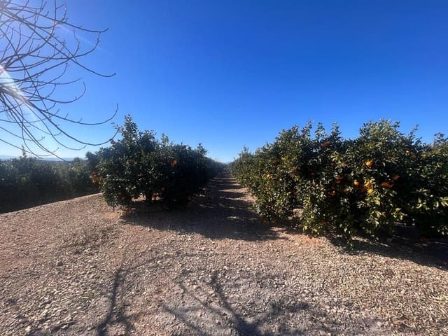 Finca/Landgut zu verkaufen in Llíria - 200.000 € (Ref: 8089206)